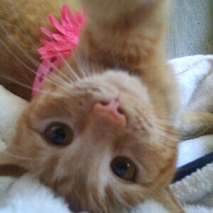 Thank-you so very much for the shares!!! XO XO XO